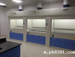 全钢通风柜_全钢通风柜销售_全钢通风柜销售公司